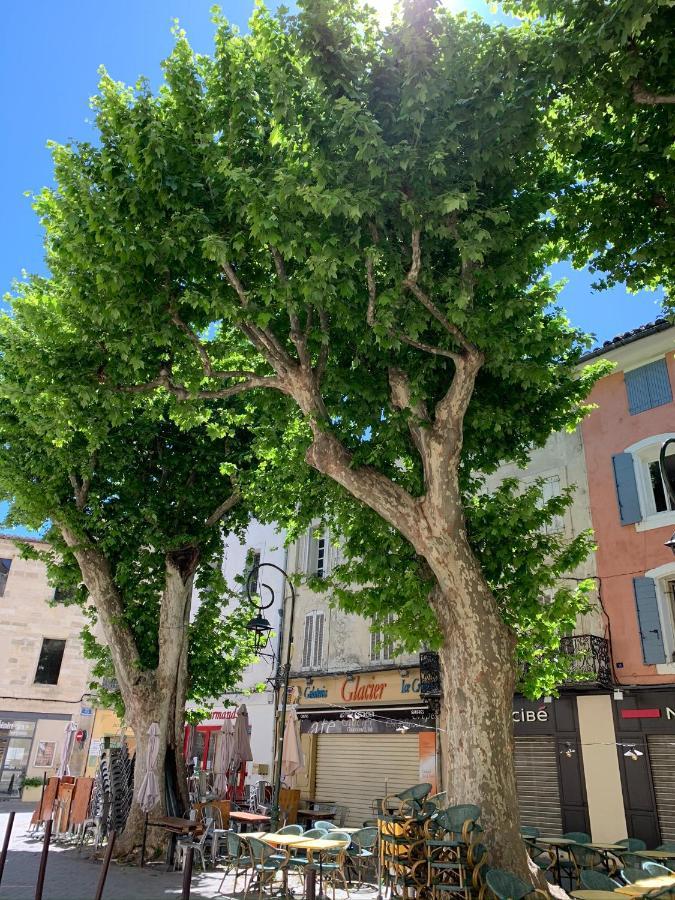 Fleurs De Provence Apartman L'Isle-sur-la-Sorgue Kültér fotó
