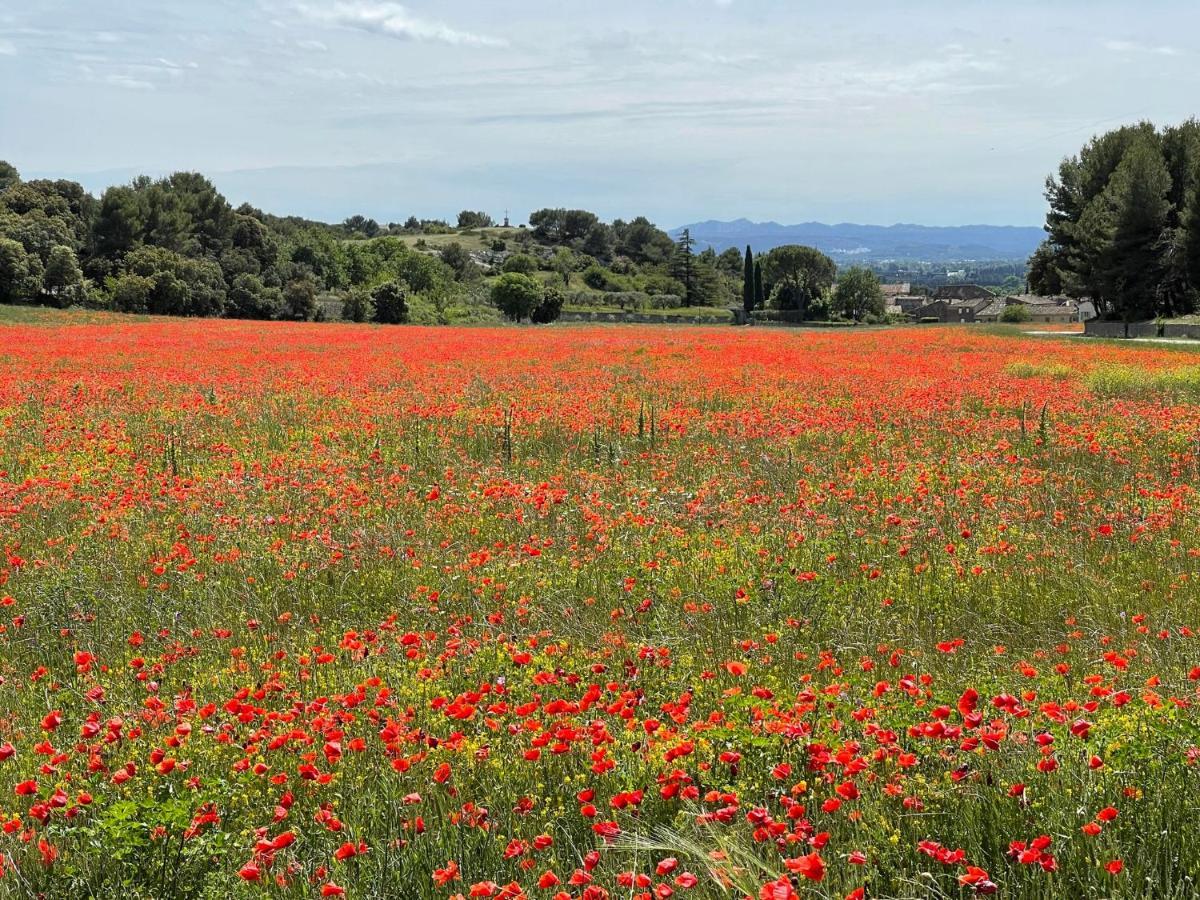Fleurs De Provence Apartman L'Isle-sur-la-Sorgue Kültér fotó