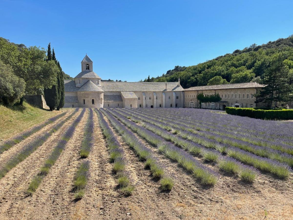 Fleurs De Provence Apartman L'Isle-sur-la-Sorgue Kültér fotó